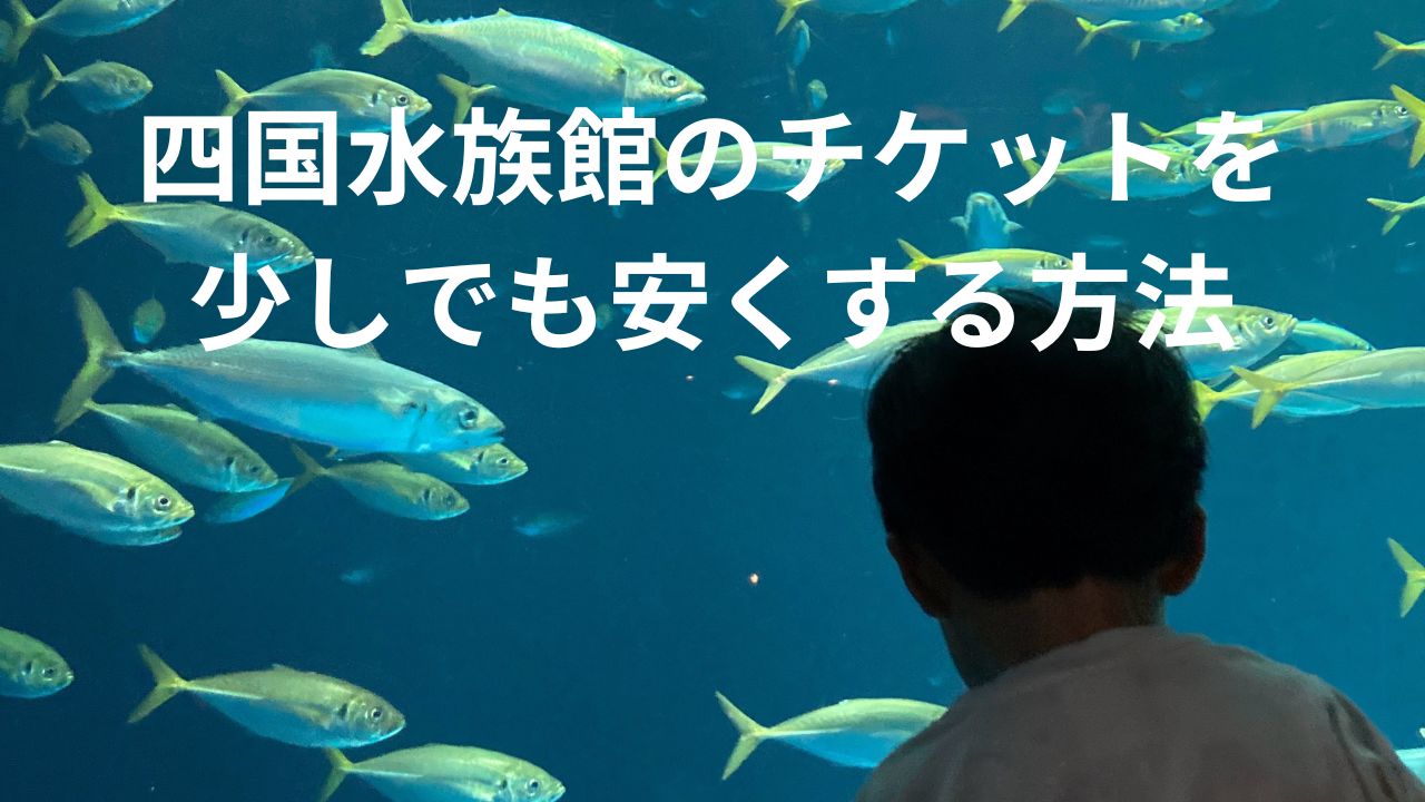 四国水族館の割引やクーポンについて | てるてる子の日常